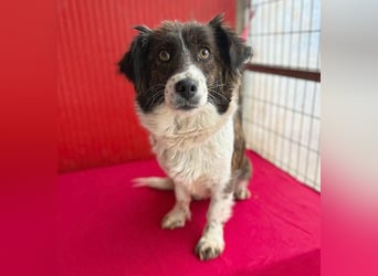 liebenswerter kleiner Schatz HEDI - 2 Jahre/35cm