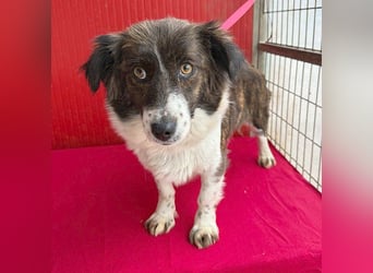 liebenswerter kleiner Schatz HEDI - 2 Jahre/35cm