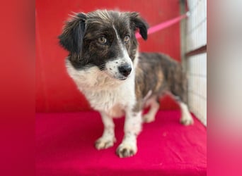 liebenswerter kleiner Schatz HEDI - 2 Jahre/35cm