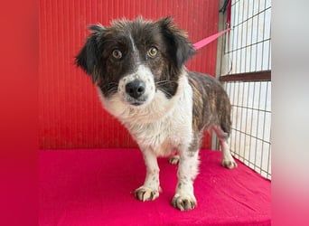 liebenswerter kleiner Schatz HEDI - 2 Jahre/35cm