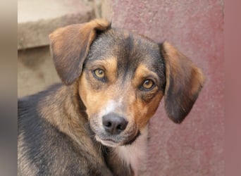 TALISKA - menschenbezogen & ruhig