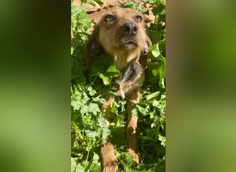 FLOW sucht liebe Familie