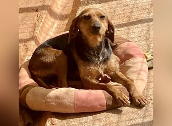 FLOW sucht liebe Familie