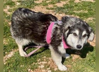 MAGNOLIA sucht Familie