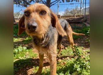 FLOW sucht liebe Familie