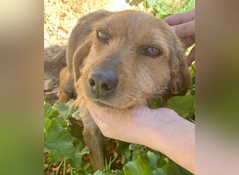 FLOW sucht liebe Familie