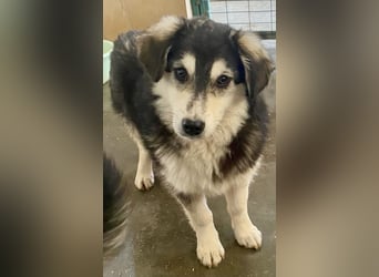 MAGNOLIA sucht Familie