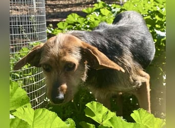 FLOW sucht liebe Familie