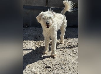 Milos