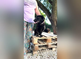 Olivia I - auf der Suche nach Liebe und Geborgenheit