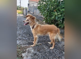 Koko - 5 Kg auf 8 qm Betonboden, wie lange noch?