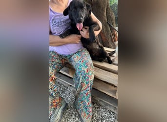 Olivia I - auf der Suche nach Liebe und Geborgenheit