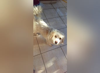 Roza F - klein und lieb, wurde ausgesetzt