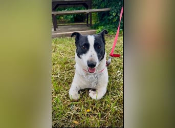 Manu - Kleine Kämpferin sucht ihr Glück