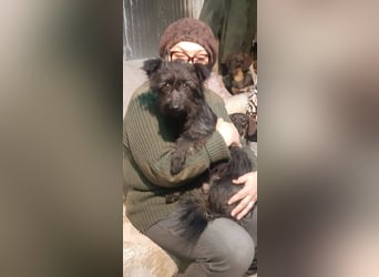 Yutza aktive kleine Abenteurerin sucht Dich