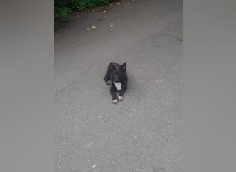 Die hübsche Lissa sucht Dich
