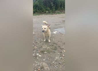 Kukla sucht ein warmes Zuhause