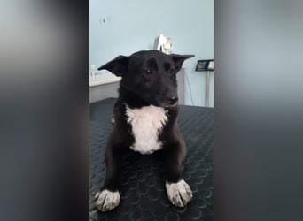 Die hübsche Lissa sucht Dich