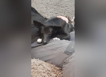Die hübsche Lissa sucht Dich