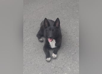 Die hübsche Lissa sucht Dich
