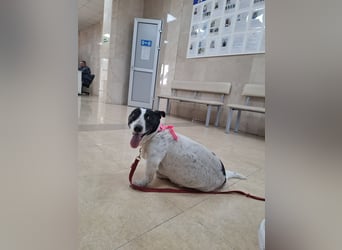 Manu - Kleine Kämpferin sucht ihr Glück