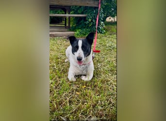 Manu - Kleine Kämpferin sucht ihr Glück