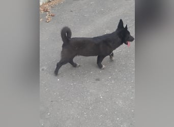 Die hübsche Lissa sucht Dich
