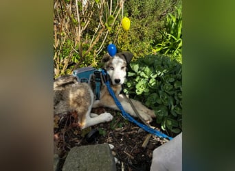 Sandi möchte die Welt entdecken