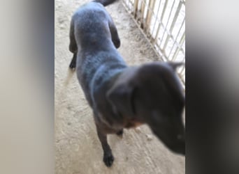 Stella - so menschenbezogen