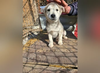 Chance - sooo niedlich ❤️