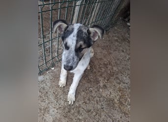 Selma möchte die Welt entdecken