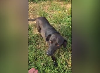 Stella - so menschenbezogen