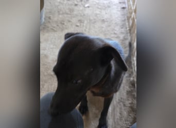 Stella - so menschenbezogen