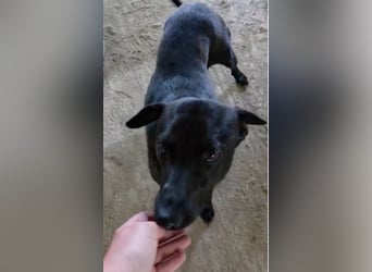 Stella - so menschenbezogen