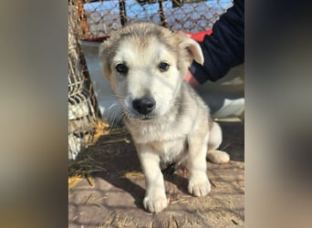 Chance - sooo niedlich ❤️