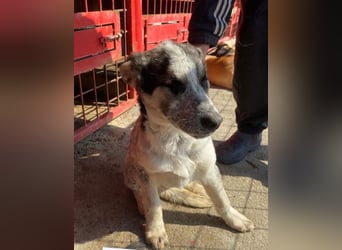 Selma möchte die Welt entdecken