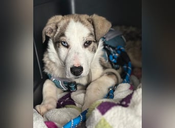 Sandi möchte die Welt entdecken