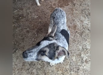 Selma möchte die Welt entdecken