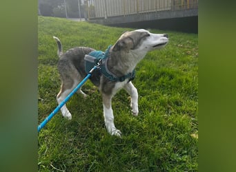 Sandi möchte die Welt entdecken