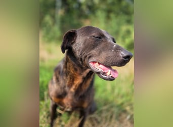 Stella - so menschenbezogen