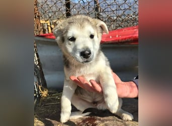 Chance - sooo niedlich ❤️