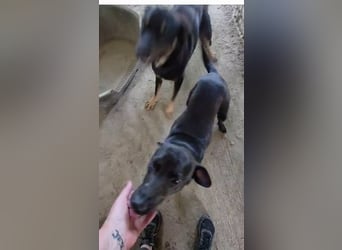 Stella - so menschenbezogen