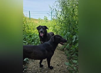 Stella - so menschenbezogen