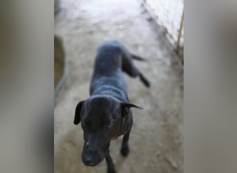 Stella - so menschenbezogen