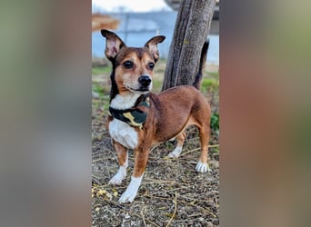 Turbo, hat seine Familie verloren