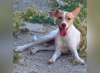 Lola, soll nicht im Tierheim aufwachsen