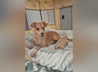 Wanda,Kleine Herzensbrecherin mit großem Mama-Herz sucht ihr Glück!