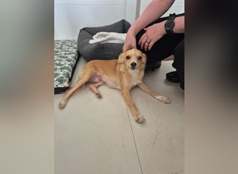 Wanda,Kleine Herzensbrecherin mit großem Mama-Herz sucht ihr Glück!