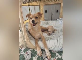 Wanda,Kleine Herzensbrecherin mit großem Mama-Herz sucht ihr Glück!