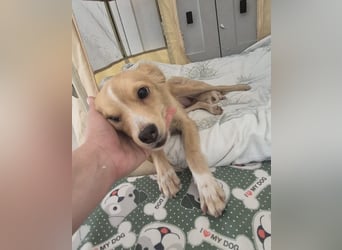 Wanda,Kleine Herzensbrecherin mit großem Mama-Herz sucht ihr Glück!